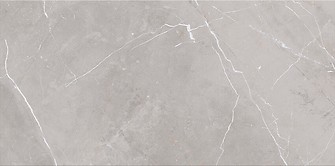 Assier grey glossy 29,7x60 cm falicsempe